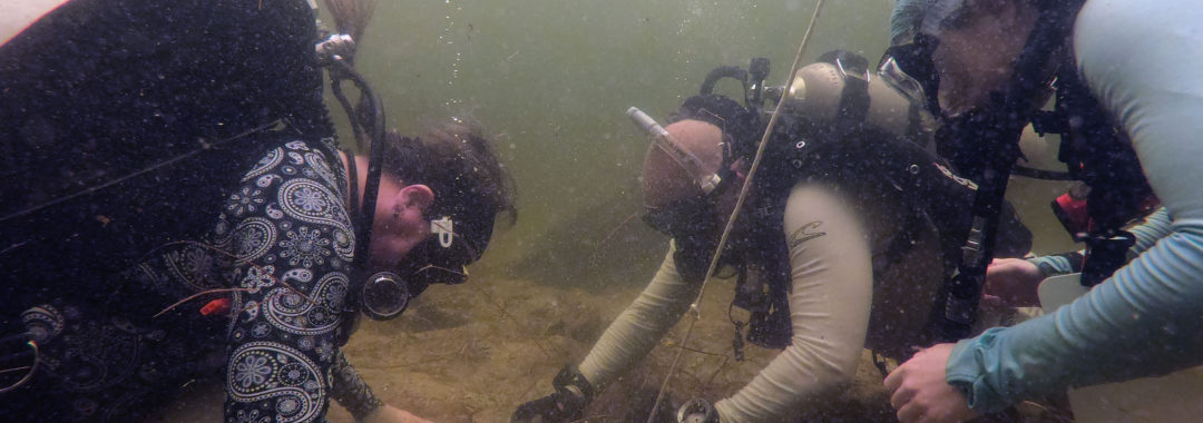 Divers on a submerged archaeological site