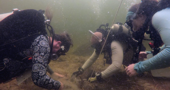 Divers on a submerged archaeological site