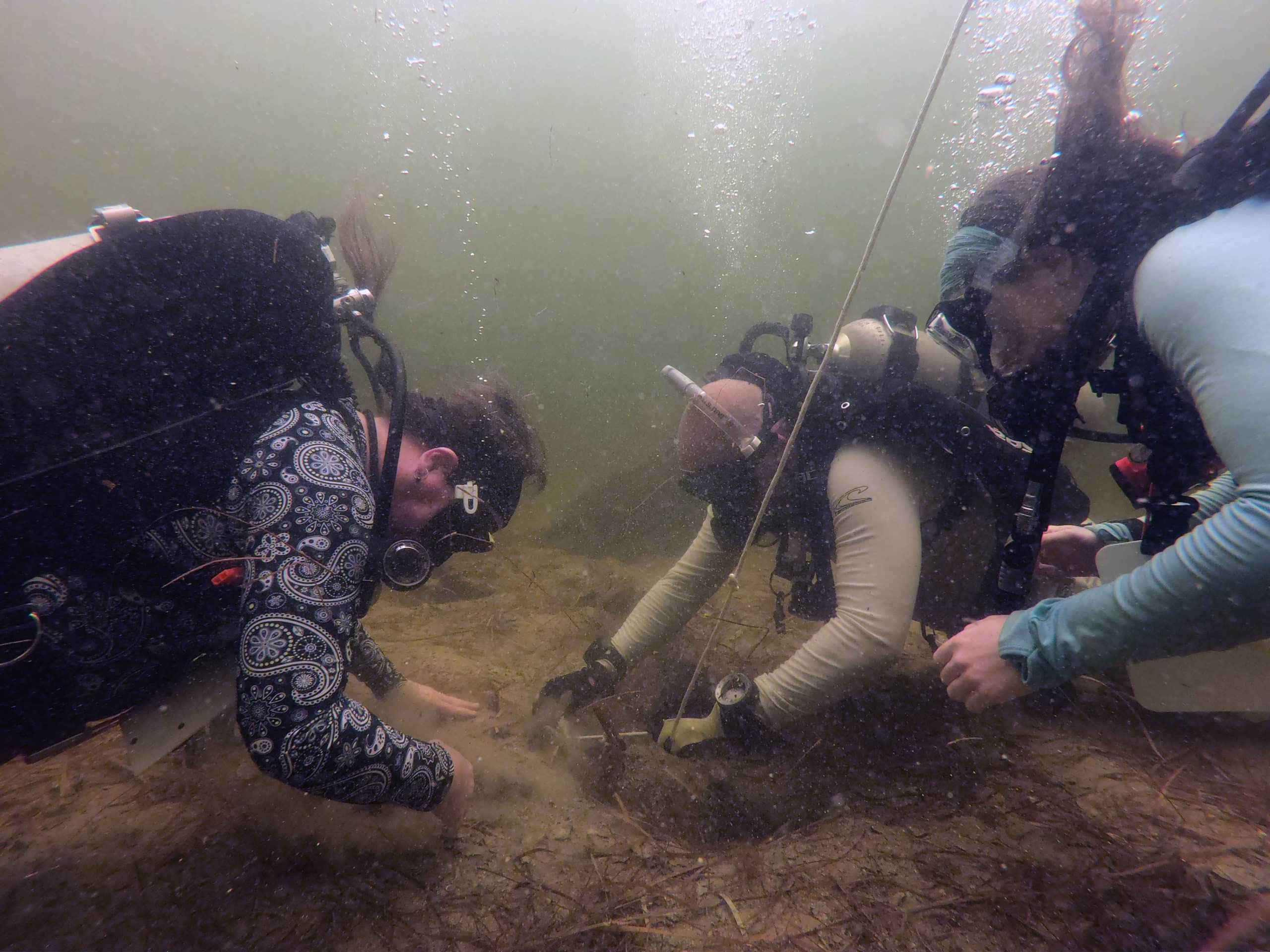 Divers on a submerged archaeological site