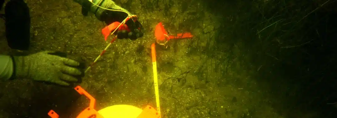 Measurements are made on a yellow hazed sea bottom